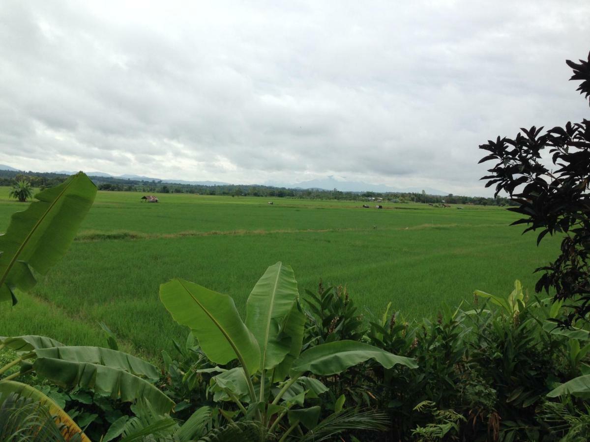 โพธิ์ทองริมทุ่ง Pothong Rimtung Hotel Fang Eksteriør bilde